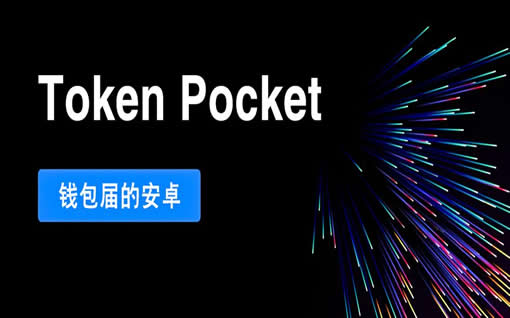 tp钱包如何看币的数据